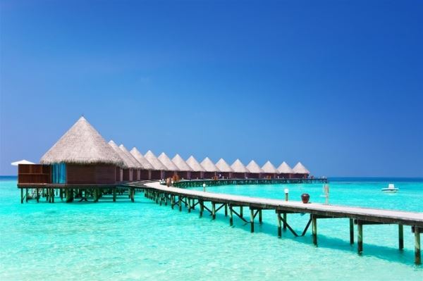 В отелях на Мальдивах запустили оплату по QR-коду