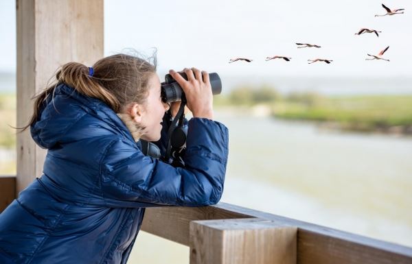 Птицеглядство или бёрдвотчинг? Сегодня отмечается Международный день птиц