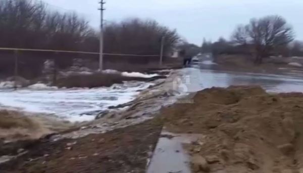 «Высокотехнологичная ферма» под Воронежем устроила потоп из нечистот